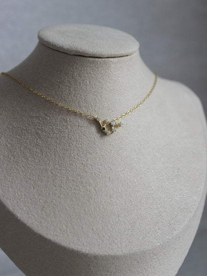 18K Vermeil Aquarius Constellation Necklace