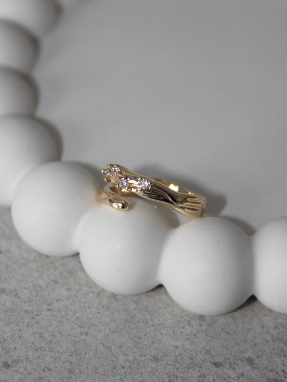 Galaxy Ring