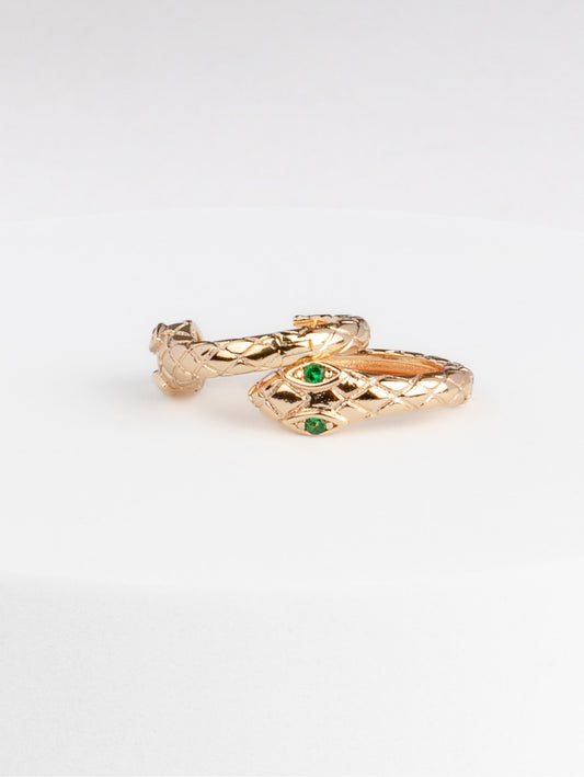 Snake Hoops